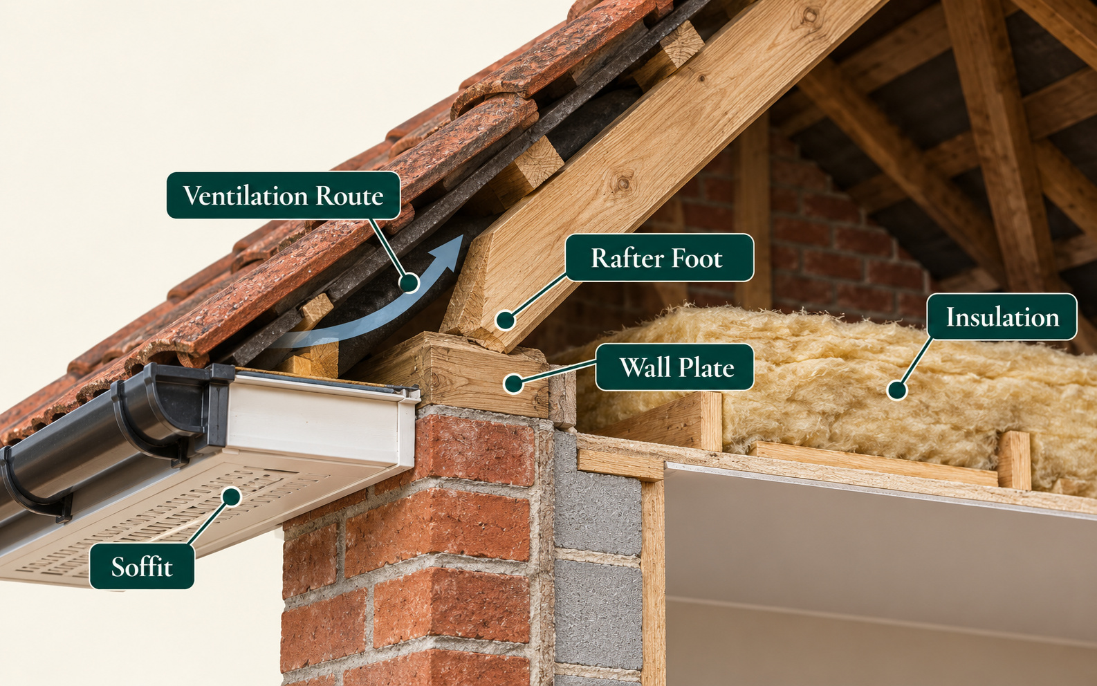 Section through conventional eaves labelling the rafter foot, wall plate, soffit, insulation and a ventilation route.